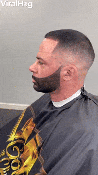 Hilarious Beard Enhancement