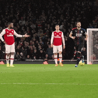 Premier League Football GIF by CPFC