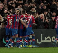 Premier League Football GIF by CPFC
