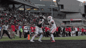 College Football GIF by Cincinnati Bearcats
