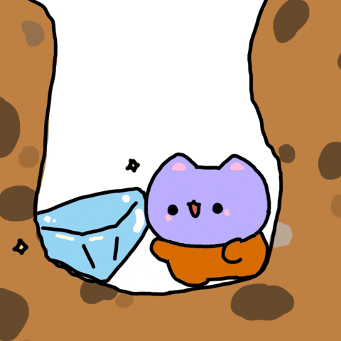 Excited Cat GIF