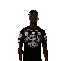 Sturm Graz Sticker by SK Sturm