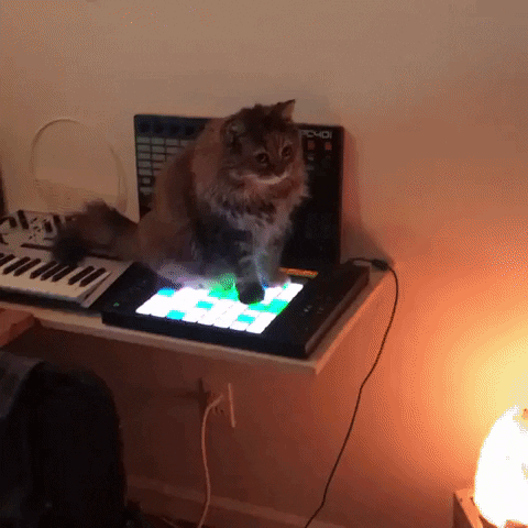 yaroslavastrutsynska giphygifmaker GIF