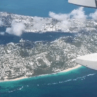 Bermuda GIF by Bermemes