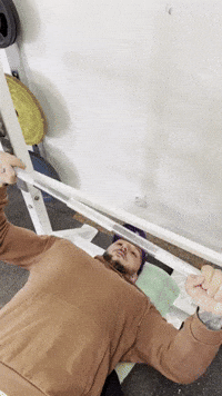 SudetskyGrizzly fitness gym bench grizzly GIF