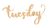 alexanndoodles text lettering calligraphy tuesday Sticker