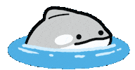 Orca Sticker