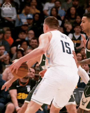 Nikola GIF by Denver Nuggets