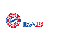 Real Madrid Soccer Sticker by Audi Football