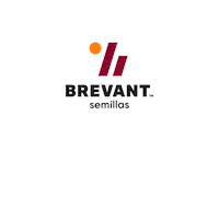 Brevant Sticker by cortevaarg