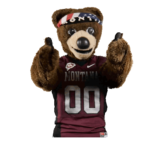 College Sports Montana Sticker by College Colors Day