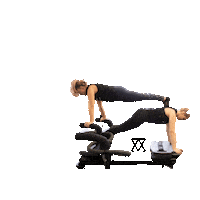 Fusion Megaformer Sticker by FPL