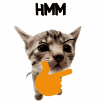 Dumb Cat Idk GIF
