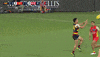 adelaidecrows 2019 afl adelaide crows round five GIF