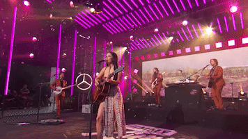 jimmy kimmel love is a wild thing GIF