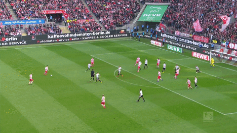 jonas hector football GIF by 1. FC Köln