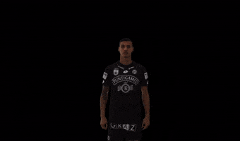 Sturmgraz Despodov GIF by SK Sturm