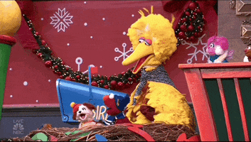 Macys Parade GIF by The 96th Macy’s Thanksgiving Day Parade