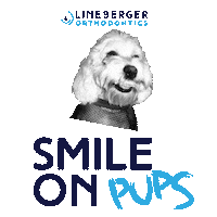 Dogs Pups Sticker by Lineberger Ortho