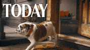 Puppy Bowl Cle GIF by Destination Cleveland
