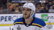 celebrate 2019 stanley cup finals GIF by NHL