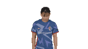 North Carolina Courage Sport Sticker by National Women's Soccer League