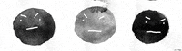 drawingintheforest cute animation angry animated GIF