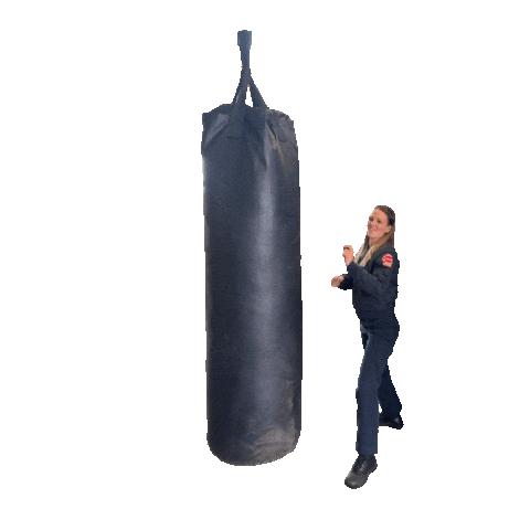 Chicago Fire Nbc Sticker by One Chicago