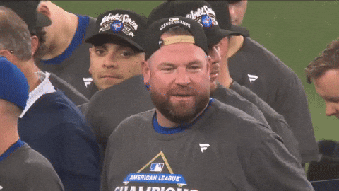 Lets Go Cheer GIF by Toronto Blue Jays