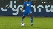 Soccer Bundesliga GIF by VfL Wolfsburg