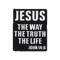 pinnedpins life jesus christian truth Sticker