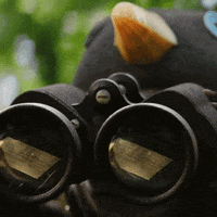 YellaWood diy wood spy binoculars GIF