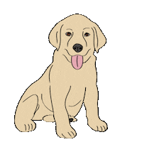Dog Puppy Sticker by VetZoo