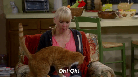 season 1 cotton candy and blended fish GIF by mom