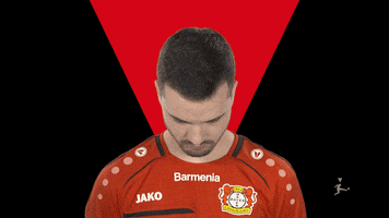 Bayer Leverkusen Fifa GIF by Bundesliga