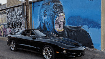 ColoradoCarsAndCoffee ws6 GIF