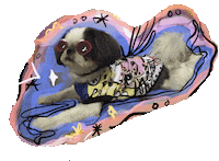 Dog Sticker