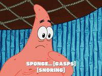 season 5 episode 10 GIF by SpongeBob SquarePants