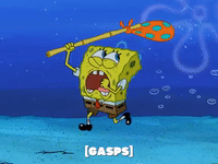 season 5 GIF by SpongeBob SquarePants