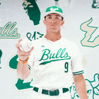 South Florida Baseball GIF by USF Athletics