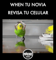 GIF by Prudence México