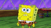 nickelodeon GIF by SpongeBob SquarePants