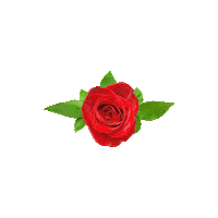 Bounce Jg Sticker by SPÖ Steiermark