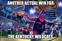 Kentucky Wildcats GIF