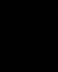 Kentucky Wildcats GIF
