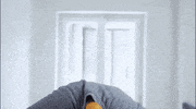 Twistocz twisto twistuj GIF