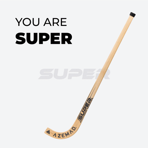 Hockey Stick GIF by AZEMAD Sport