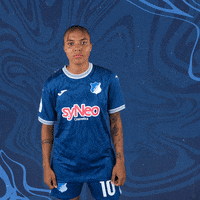 Frauen Bundesliga Football GIF by TSG Hoffenheim