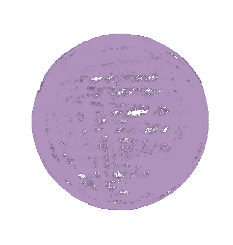 Zwergpinguin giphyupload circle form kreis Sticker