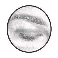 beautybynaida beauty wink eyebrow beautysalon Sticker